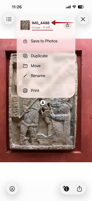 Checking photo format in Files app on iPhone. 