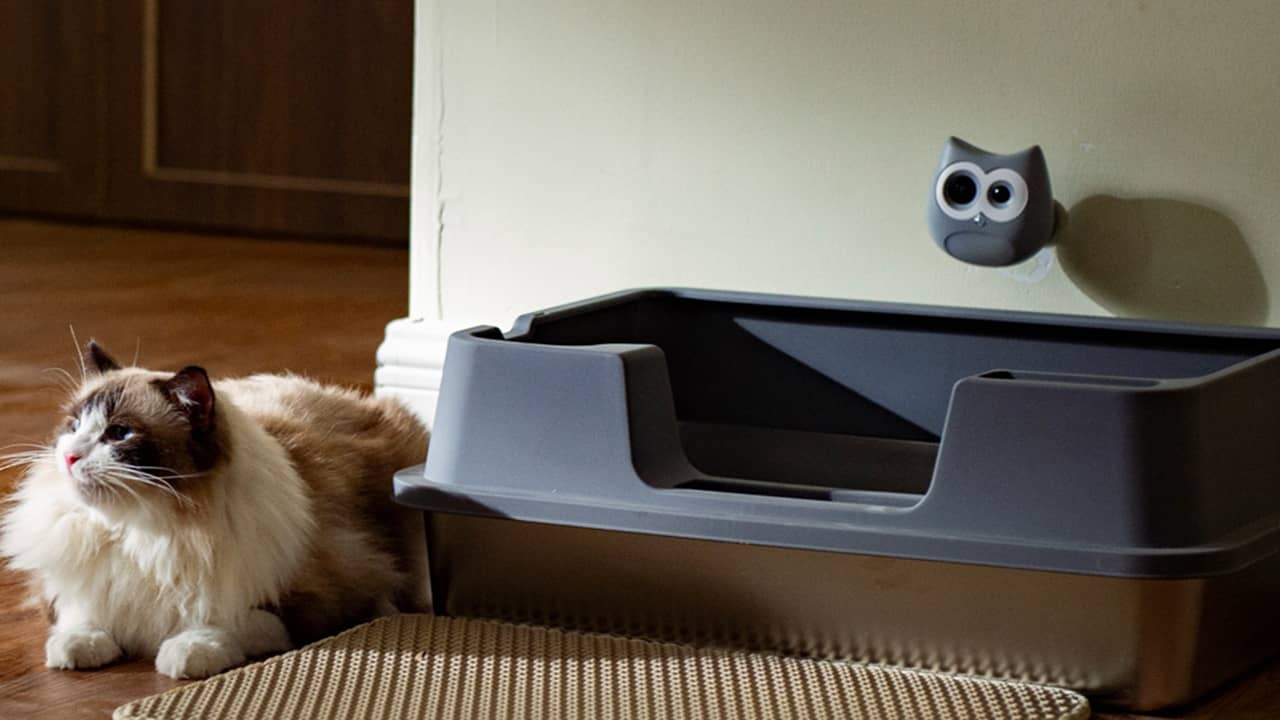 Fluffy cat at litter box with SiiPet LitterLens camera installed.