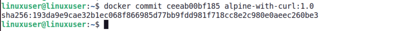 Commit Container New Image