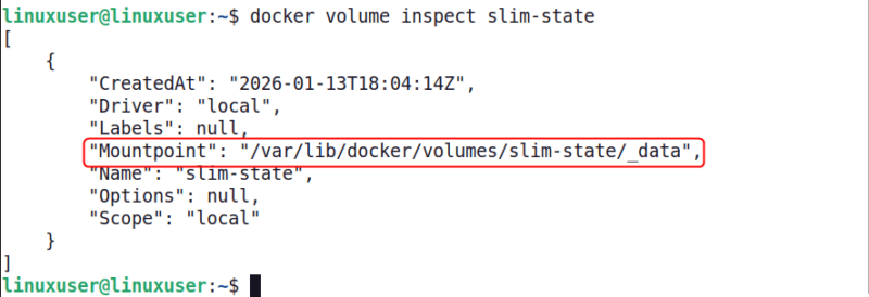 Inspect Specific Docker Volume