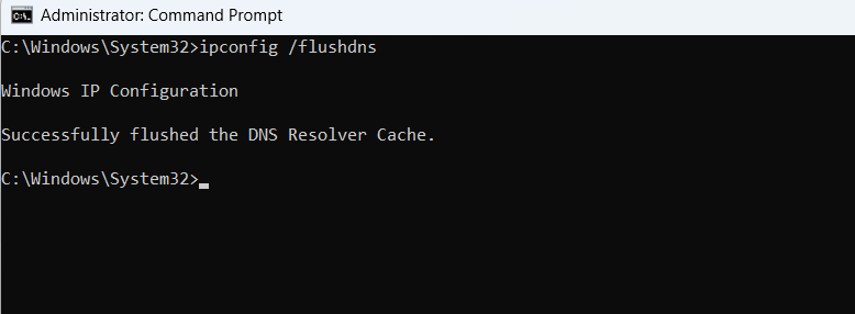 Running Flush DNS Command
